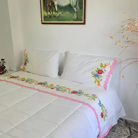 Alsed Apartment Berat